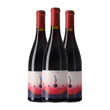 Ca N'estruc Vino Tinto L'equilibrista Garnatxa Catalunya Crianza 75 Cl 14.5% Vol. (pack De 3 Unidades)