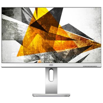 AOC Pro-line X24P1/GR 24