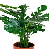 monstera deliciosa artificial 45 cm