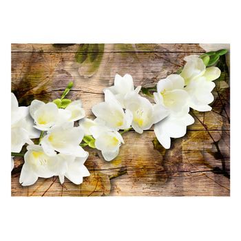 Papel Pintado 3d - Freesia On Wood (200x140 Cm)