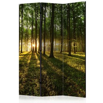 Biombo - Morning In The Forest (135x172 Cm)