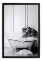cuadro con marco negro 40x30 bano de orangutan