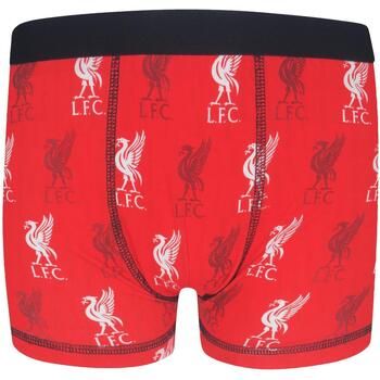 Liverpool Fc Boxer GF666 para niño