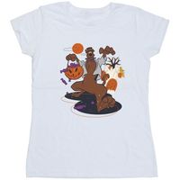 dessins animes camiseta manga larga nsters para mujer