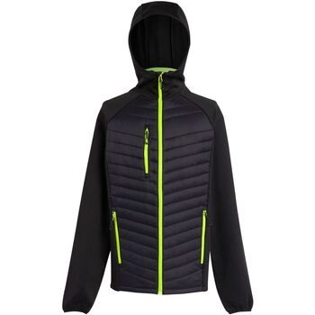 Regatta Abrigo de plumas RG9341 para hombre