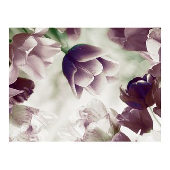 Papel Pintado 3d - Heavenly Tulips (400x309 Cm)