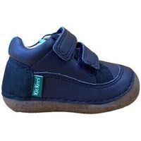 kickers bailarinas sostankro 894563-10 azul para nino