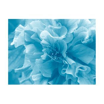 Papel Pintado 3d - Blue Azalea (250x193 Cm)