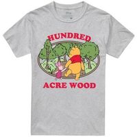 dessins animes camiseta hundred acre wood para hombre