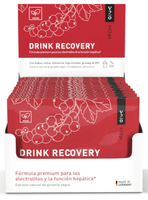 vit2go drink recovery 30x10 gr sobres