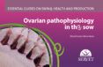 Ovarian pathophysiology in the sow. Essential guides on swine health and production