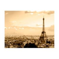 papel pintado 3d - paris - panorama 250x193 cm