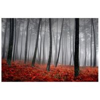 legendarte - cuadro lienzo impresion digital - prospero sotobosque - decoracion pared cm 60x90