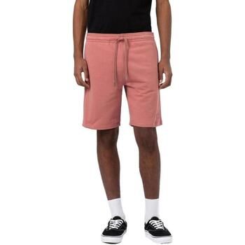 Dickies Pantalón pirata DK0A4XAYDKC37 para hombre