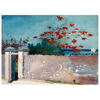 legendarte - cuadro lienzo impresion digital - una pared nassau - winslow homer - decoracion pared cm 80x110
