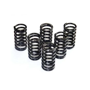 Muelle de embrague Ferodo FSS0404 kit