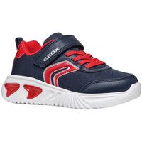 geox zapatillas deporte assister bc para nino