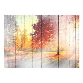 Papel Pintado 3d - Autumn Sun (150x105 Cm)