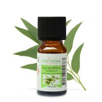 aceite esencial eucalyptus 10ml