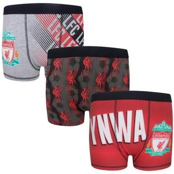 Liverpool Fc Boxer GF1071 para niño