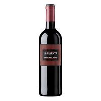 la planta magnum 2024 150 cl  pack de 3 unidades