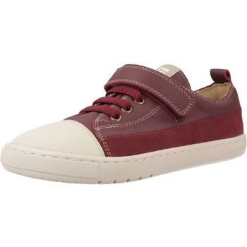 Blanditos Zapatillas Anclabd para niño