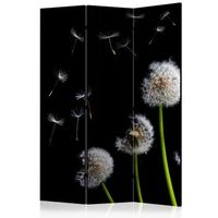 biombo - dandelions in the wind 135x172 cm