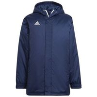 adidas chaquetas entrada 22 stadium para nino