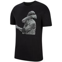 nike camiseta air jordan photo para hombre