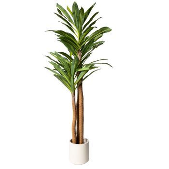 Planta Artificial Dracaena De 170 cm