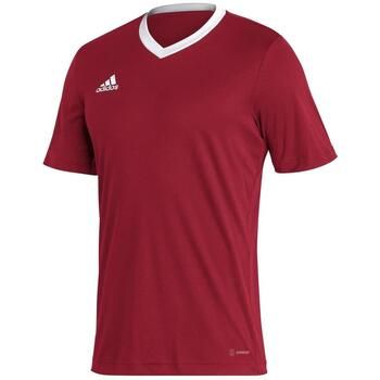 adidas Camiseta Entrada 22 para hombre
