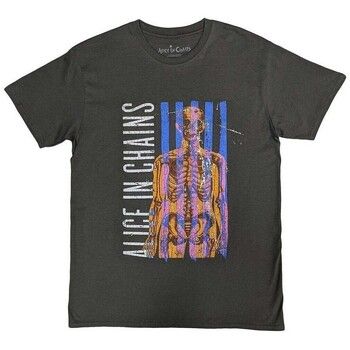 Alice In Chains Camiseta RO12300 para hombre