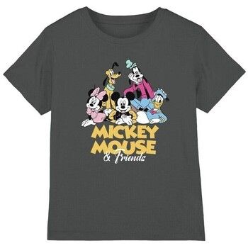 Disney Tops y Camisetas TV3872 para niño