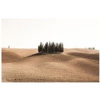 legendarte - cuadro lienzo impresion digital - oasis idilico - decoracion pared cm 50x70
