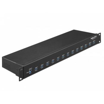 Hub Delock 13 puertos 5 Gbps USB 3.2 Gen 1 modelo 64039 metálico montaje rack