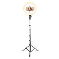 r2026 versionr aro de luz led 25cm con 2 tripode 1 sobremesa y 1 de pie anillo de luz 10w con mando bluetooth para control del movil ringlight con 3 pinzas para movil160cm altura potencia y
