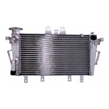 Refrigerador motor Triumph Tiger 1050 -'13 agua
