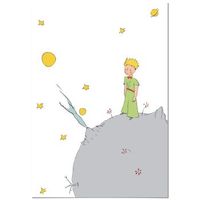 cuadro de aluminio el principito planeta 70x100cm