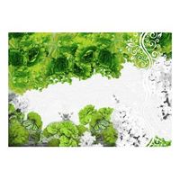 papel pintado 3d - colores de primavera verde 350x245 cm