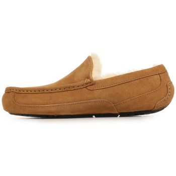 UGG Pantuflas Ascot para hombre