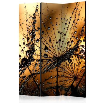 Biombo - Dandelions In The Rain (135x172 Cm)