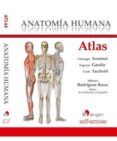 atlas anatomia humana