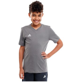 adidas Camiseta t-shirt entrada 22 grey 152cm para hombre