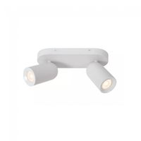 regleta de techo punch 2 luces