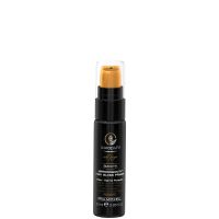 paul mitchell awapuhi wild ginger mirror smooth high gloss primer 20ml
