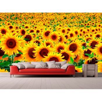 Fotomural Vinilo Campo De Girasoles 400 X 300 Cm