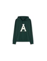 sudadera astore socaci hombre verde oscuro