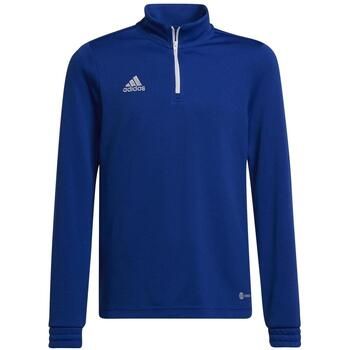 adidas Jersey Entrada 22 para niña
