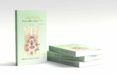 anpuku tratamiento del hara con shiatsu
