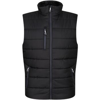 Regatta Cazadora Navigate para hombre